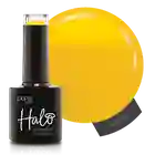 Halo Arabian Nights | Fortune